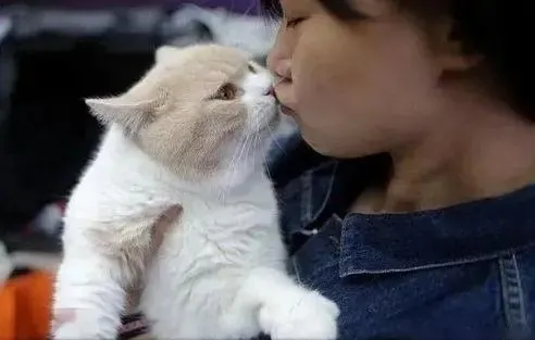 猫咪把你当“妈”才会有的几种行为，中一个都偷笑了