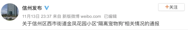 隔离宠物遭入室残忍捕杀 狗狗能不能安乐死？