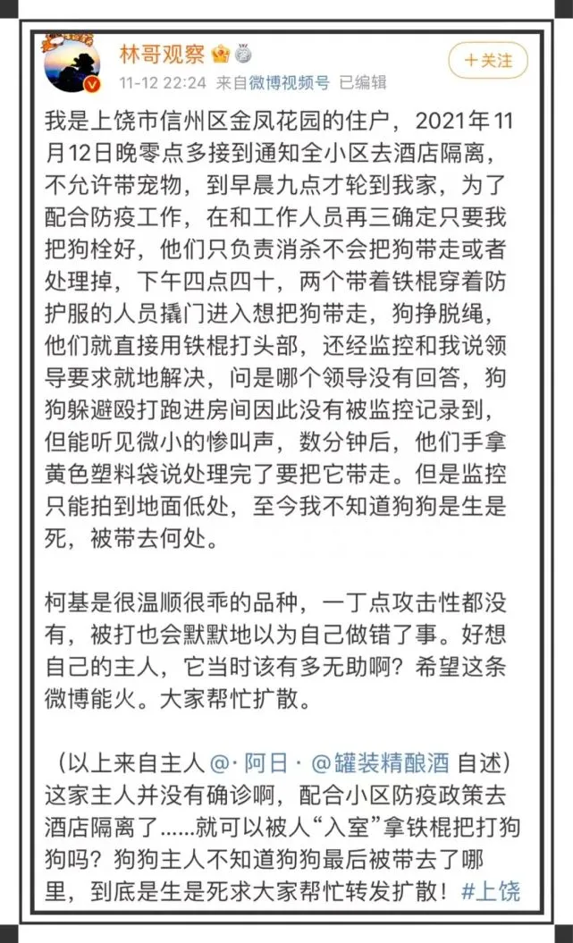 防疫员撬门入室、扑杀宠物狗？这个深夜回应你认可吗？