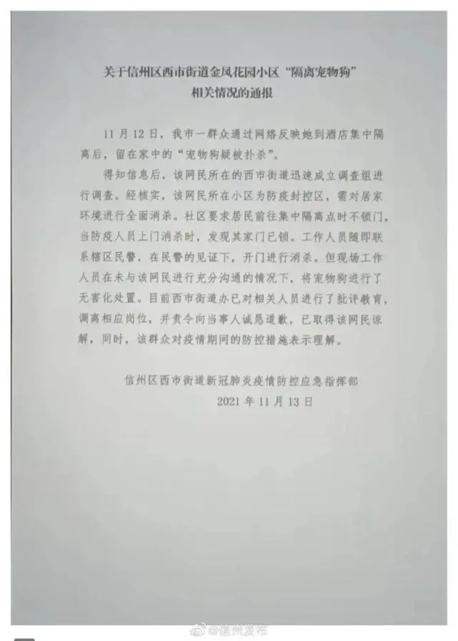 上饶“宠物狗事件”，最该道歉的是谁？