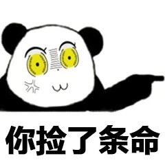 Pop美熊猫表情包