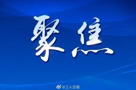 主人被集中隔离 家中宠物怎么办？