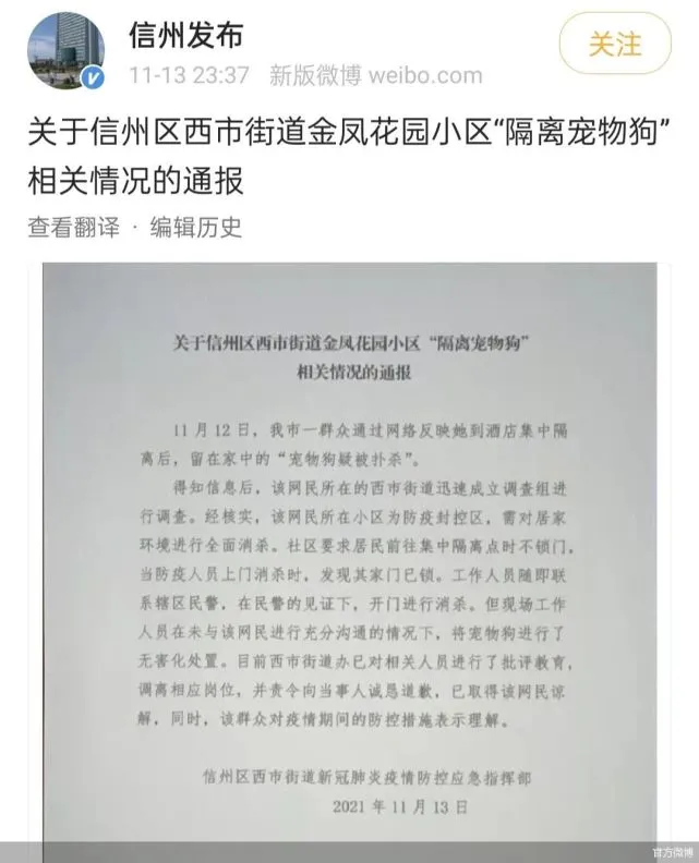 “隔离宠物狗被扑杀”官方深夜通告 什么才是隔离期间宠物处置的正确方式？
