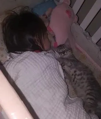半夜醒来小猫消失了，回头见婴儿床“毛手勾孩”，入睡身影萌翻