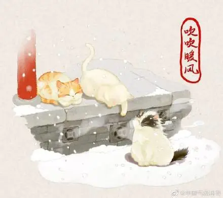 猫冬是像猫一样过冬吗？