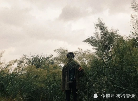 谢谢你，扑灭了我的光