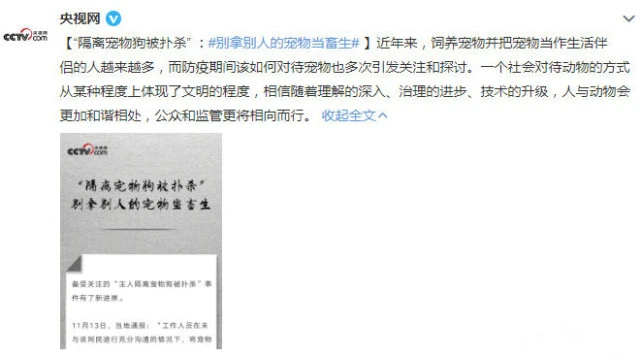 扑杀宠物狗合法吗？人大代表呼吁将虐待动物纳入治安处罚法
