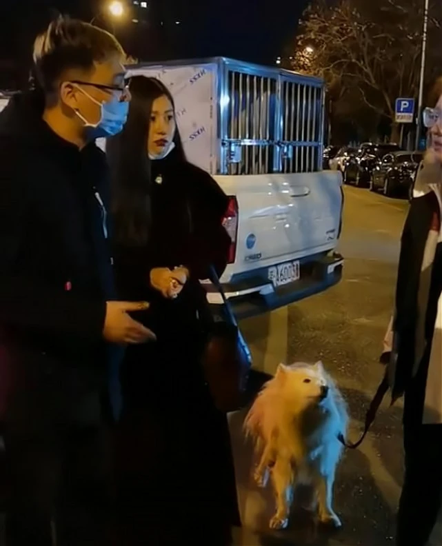 图便宜？女子让爱犬“搭顺风车”被活活闷死：司机只愿赔1.5万！