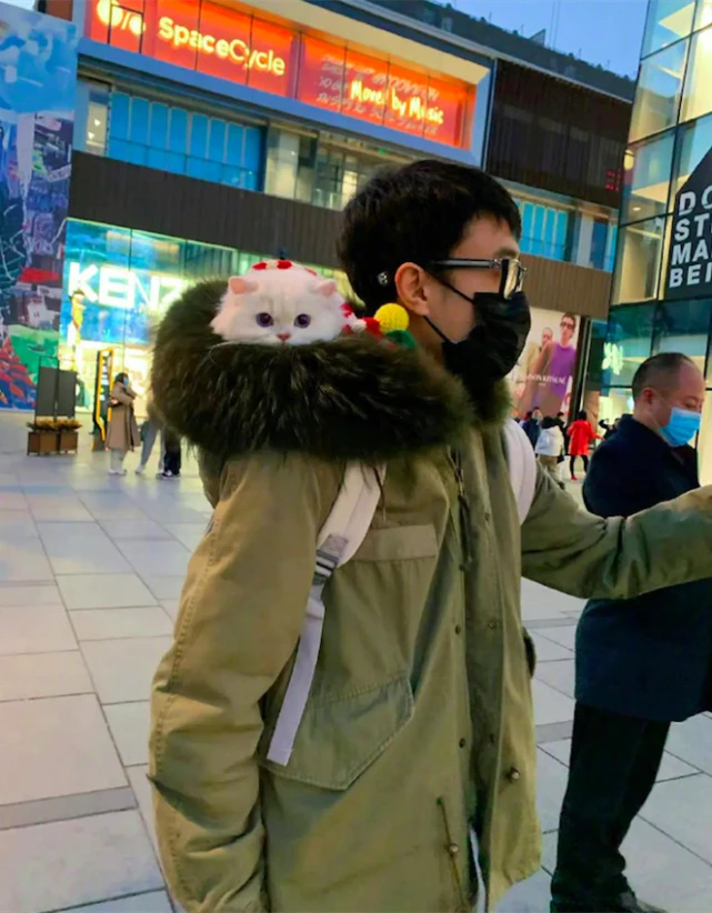 远看小哥帽子里有个“猫头”，凑近后被可爱到了：也太乖巧了吧？
