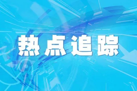 耳内有耳 土耳其一猫咪天生四只耳朵走红网络
