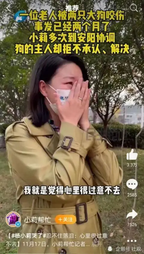 安阳狗咬伤老人事件，“小莉”该不该如此操作