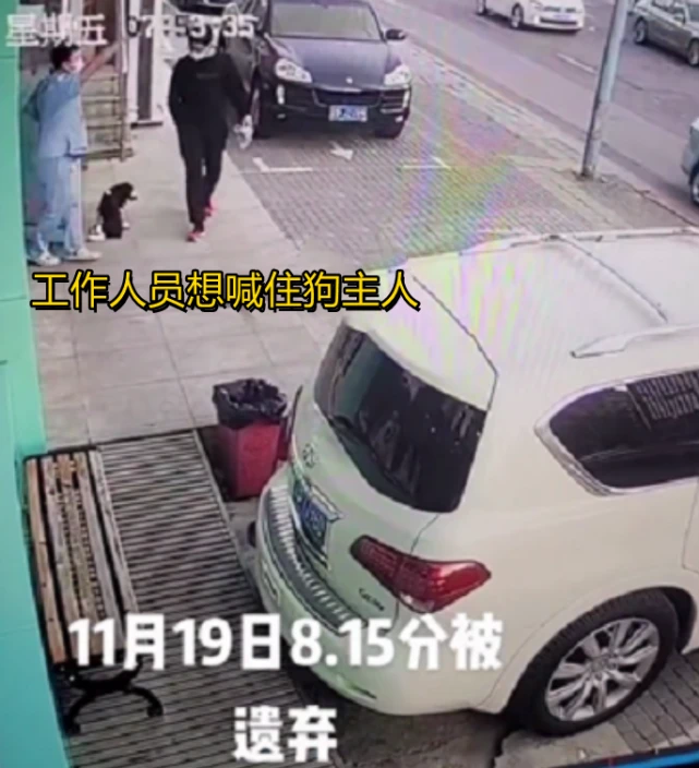 辽宁女子将骨折的狗遗弃，狗拖着后腿拼命追，无奈只能看主人离去