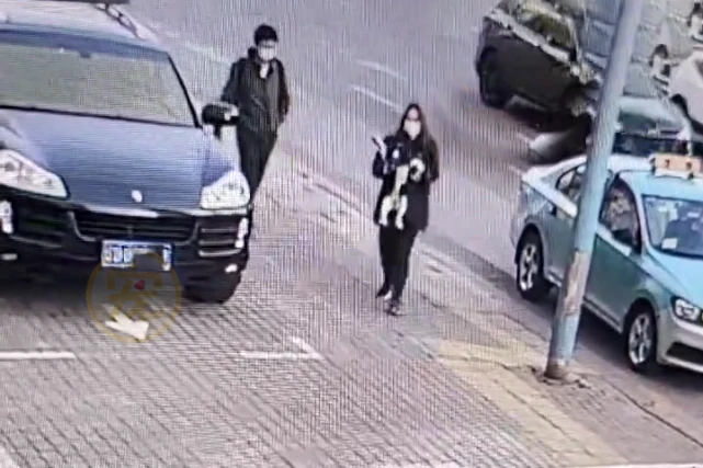 史宾格犬被主人丢在马路边，狗狗反应让人心痛，狗狗：别抛弃我！