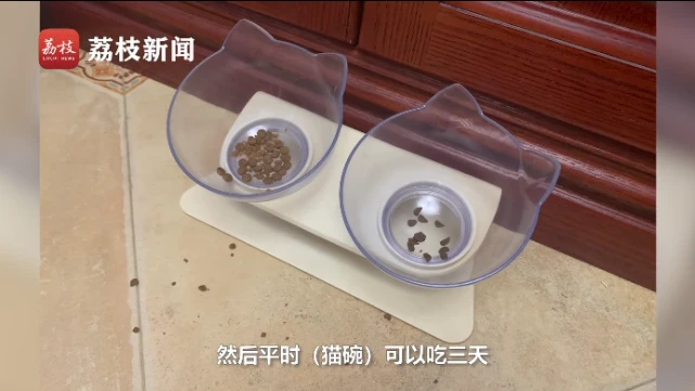 猫咪开门爬18楼请流浪猫回家吃饭