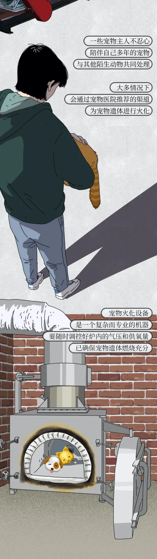 这才是真正的宠物尸体无害化处理！