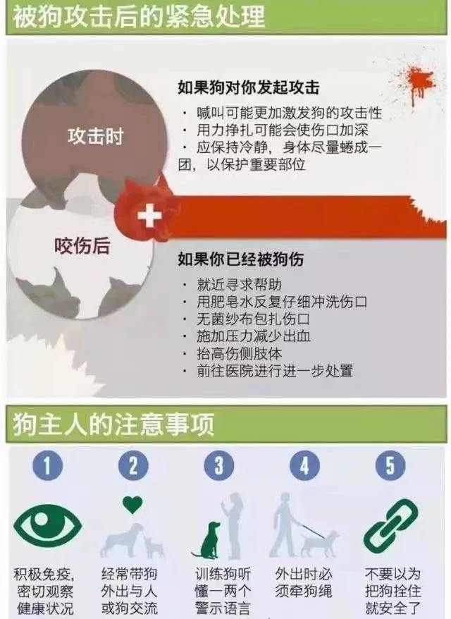 武汉坠楼女子事件：养狗没有错，缺德的是人！