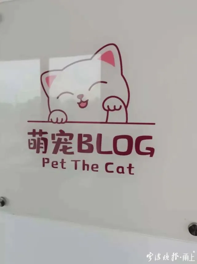 5000元网购的猫，15天就死了！卖家透露一个细节