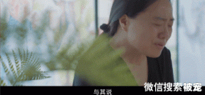 它们的最后一刻，我们的最后一课