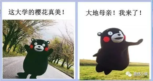 “二哈”PK边牧，“学困”vs“学霸”既视感，坚持还是顺应天性？