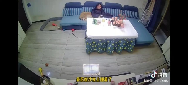男子大哭时金毛犬上前拥抱，一旁哈士奇无动于衷，网友：果真是二
