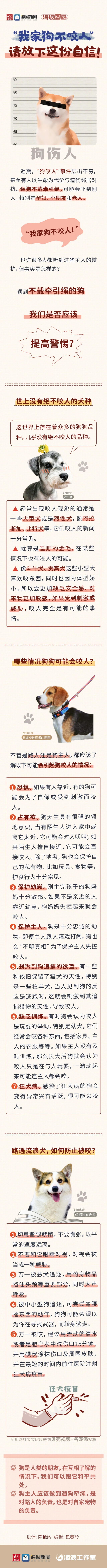 海报图品丨“我家狗不咬人” 请放下这份自信