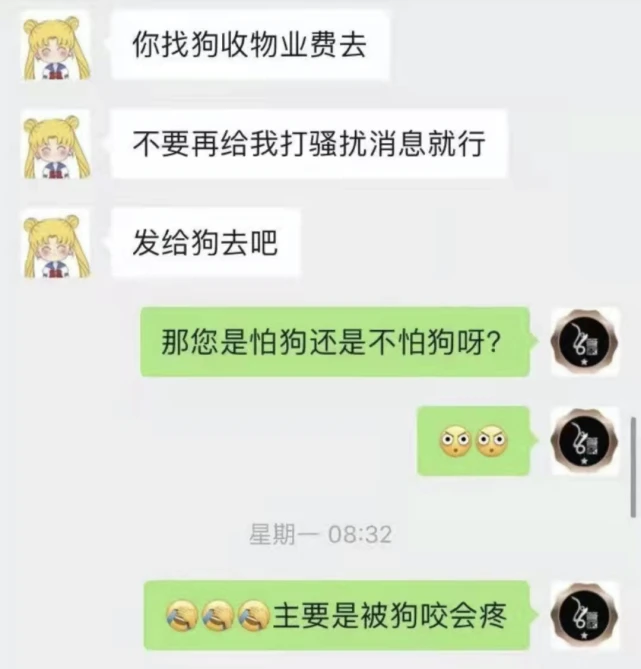 wenno：那个被狗主人逼死的年轻女孩