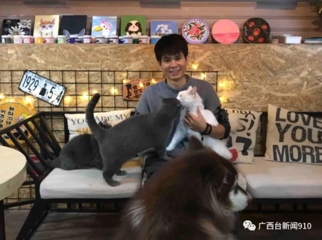 桂林猫王子的烦恼：收养上百只流浪猫，谁来一起喵喵喵喵喵