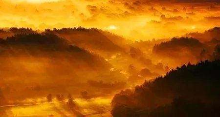 转载：《柔软的世界》