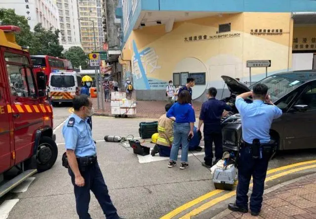 天气转凉，流浪猫很爱躲在车底，它们只想取暖，活着！别伤害它们