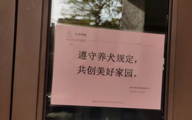 “拿命控诉遛狗人”，湖北女子从32楼纵身跃下，背后原因令人痛心