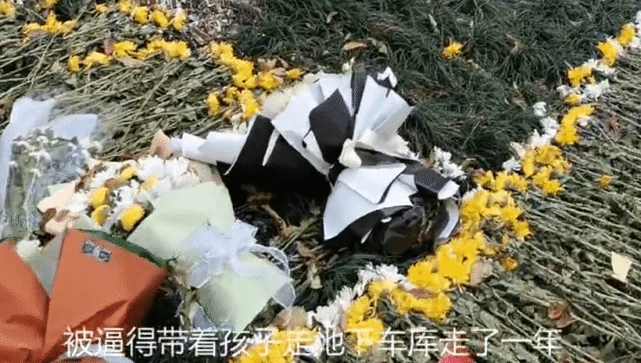 人命狗命哪个值钱？武汉女子32楼跳下，遗言：以命控告小区老太遛狗不牵绳