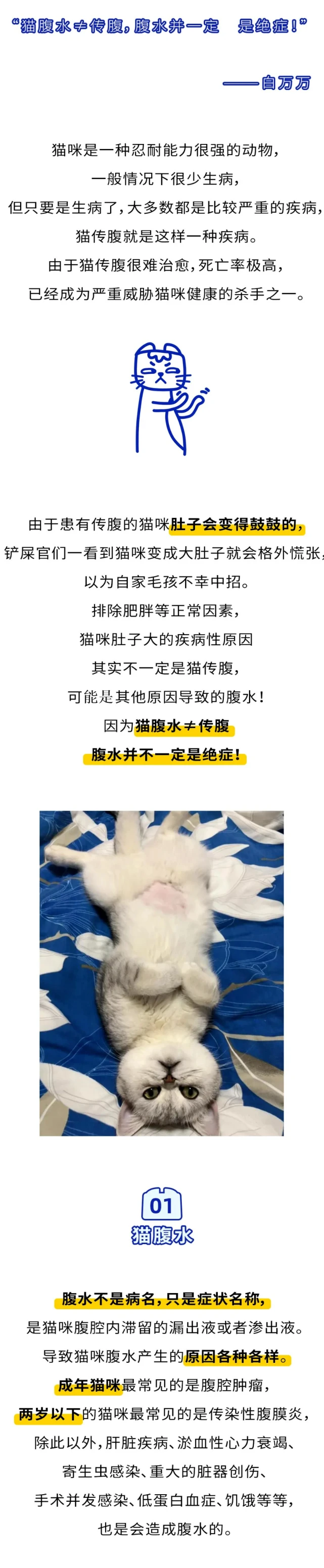 比猫传腹更可怕的是被误诊！“传腹”and“腹水”你分清了吗？