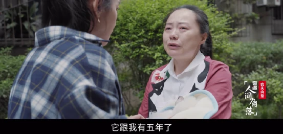 宠物入殓师铭刻下的离别，也是我们人生的缩影
