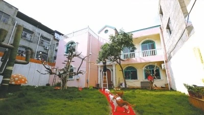 商丘小伙收养40多只流浪猫 自费30余万打造猫咪豪宅