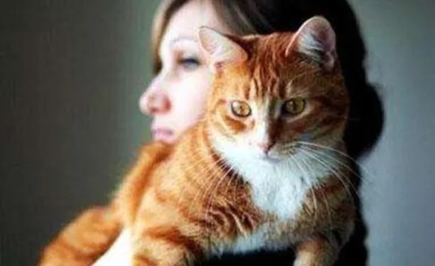 猫猫不吃人是不是因为体型限制了它？