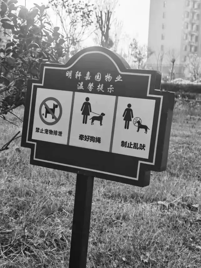 恶犬伤人事件引发广泛关注。菏泽养犬现状如何？记者为此进行深入调查