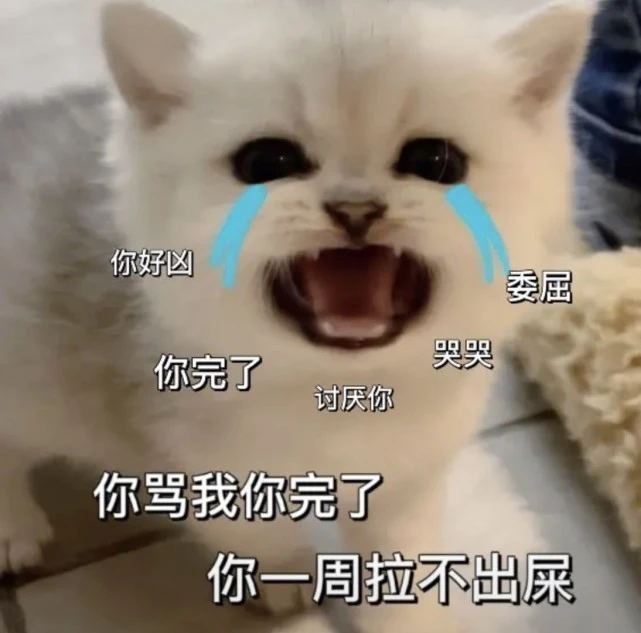 你打排位把把输丨讨厌鬼 小猫咪表情