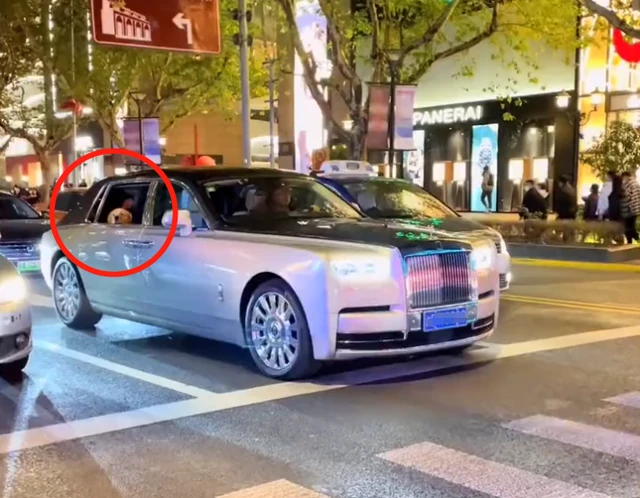 上海：1000万劳斯莱斯上街，车后座一只金毛探头看风景，网友炸锅