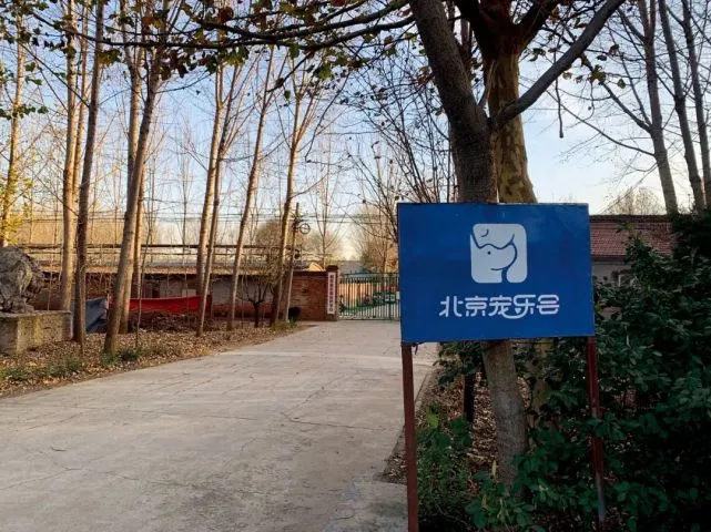 柴犬登登拍卖记：动物是如何被司法拍卖的