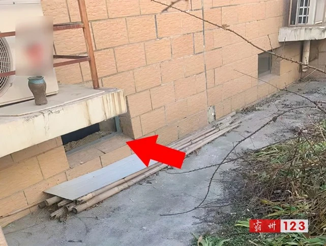 霸州地下室里传出的哀鸣声：一条小生命就这样死去