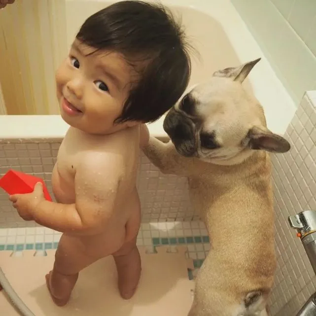 大型犬和小型犬，哪个更适合陪伴孩子成长？