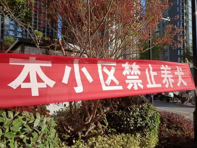 郑州一小区发出禁狗令，养狗居民将被罚？社区：民意调查90％通过