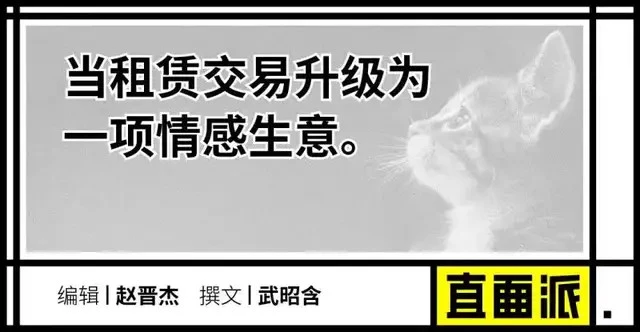 多花数千元为猫赎身，哪些人在买租赁猫？​