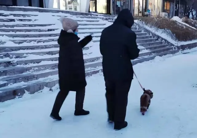 关于养犬，这事儿咱还得按套路来～