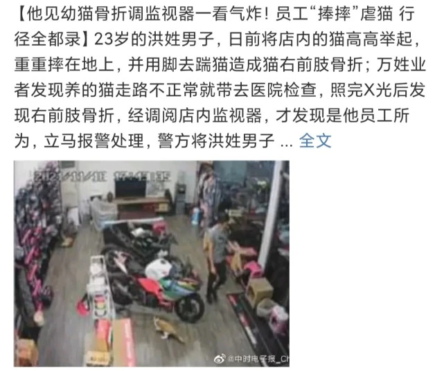 猫犬之殇，立法迫在眉睫