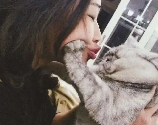 猫护｜猫咪和铲屎官爱的表达式不同，你能正确地感知到猫的爱意吗？