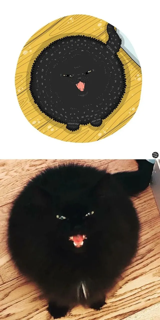 猫趣｜插画师笔下的猫咪有趣瞬间，有你熟悉的那一刻吗？