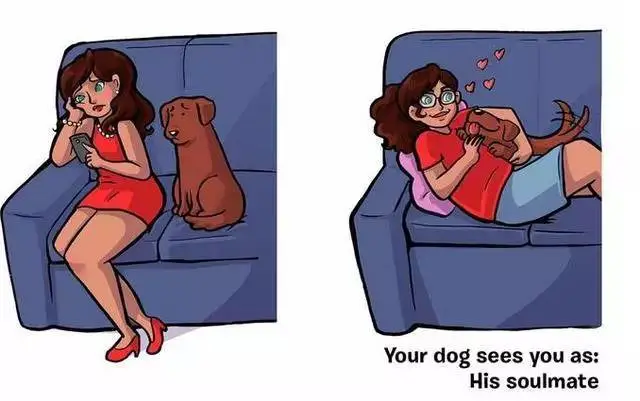 你眼中的自己VS狗狗眼中的你