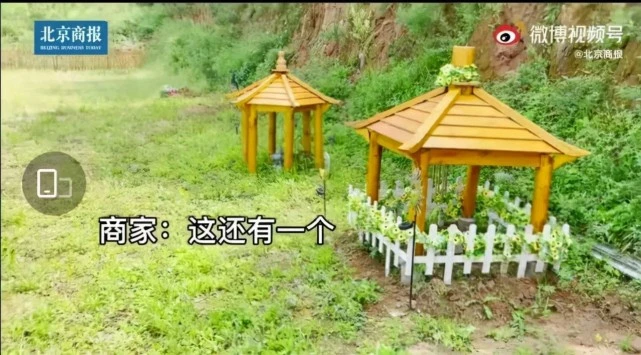 宠物身后事：主人让宠物走得体面，商人却在瓜分“尸体蛋糕”
