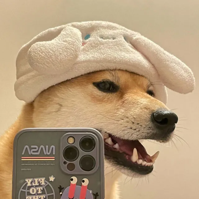 可爱狗狗头像